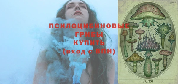 мяу мяу мука Чегем