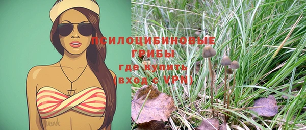 MESCALINE Алзамай