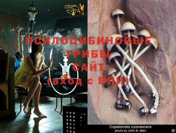 мефедрон Алексеевка
