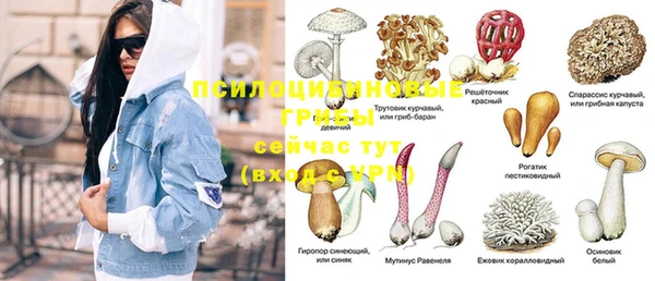 MESCALINE Алзамай