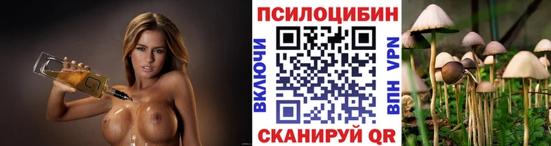 Галлюциногенные грибы Psilocybine cubensis  блэк спрут маркетплейс  Волгоград  как найти закладки 